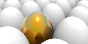 1368184872_509055390_1-Pictures-of--Fancy-Chickens-fertile-eggs-buyer