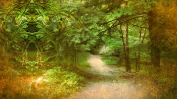 celtic_knot_wallpaper-1600x900