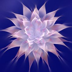 8f05129a70666fa982d57f1837fedd92